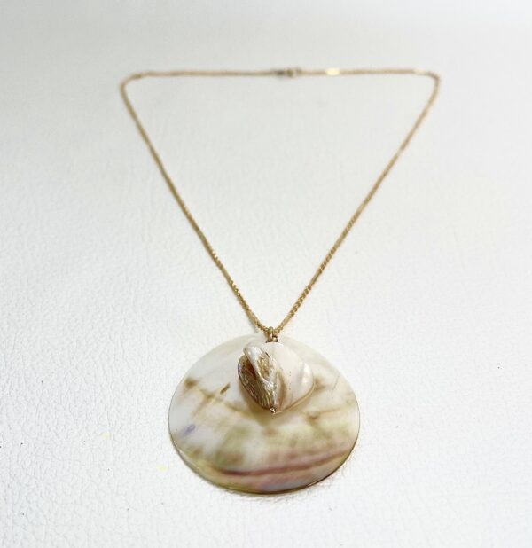 Collier Sea life – Image 12