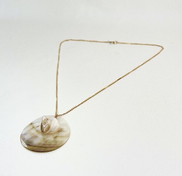 Collier Sea life – Image 9