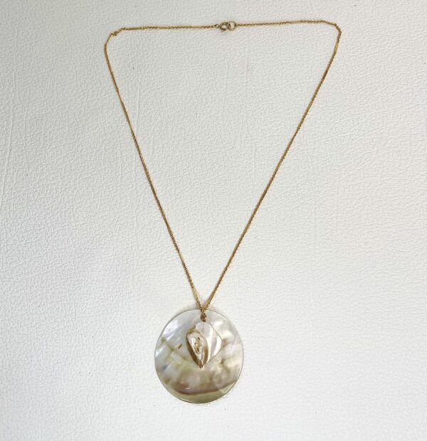 Collier Sea life – Image 6