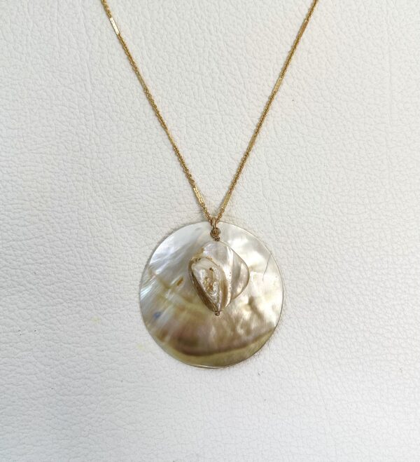 Collier Sea life – Image 3